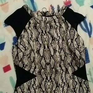 Sexy Mesh cutout/snake print Worthington dress